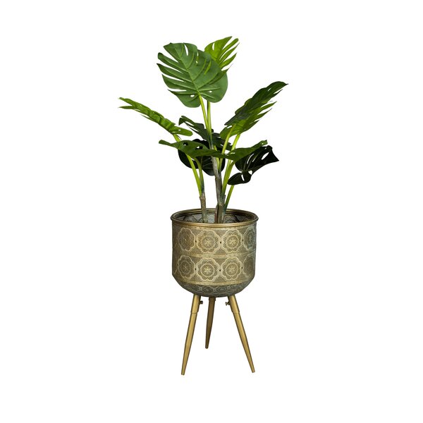 Dutchbone Round Pedestal Plant Stand & Reviews | Wayfair.co.uk